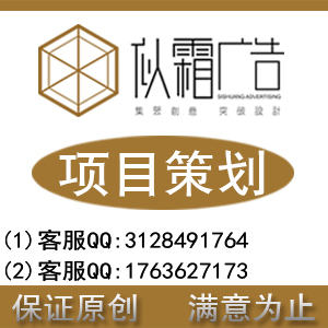 项目策划 从概念到落地的全景指南